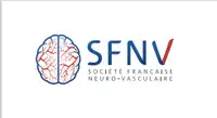Logo SFNV